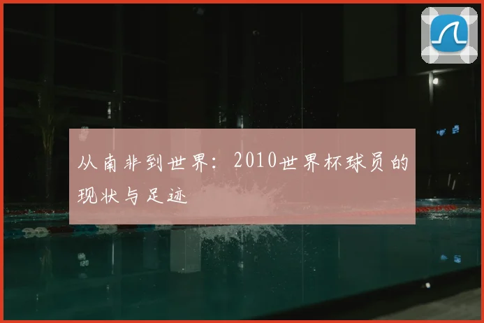从南非到世界：2010世界杯球员的现状与足迹