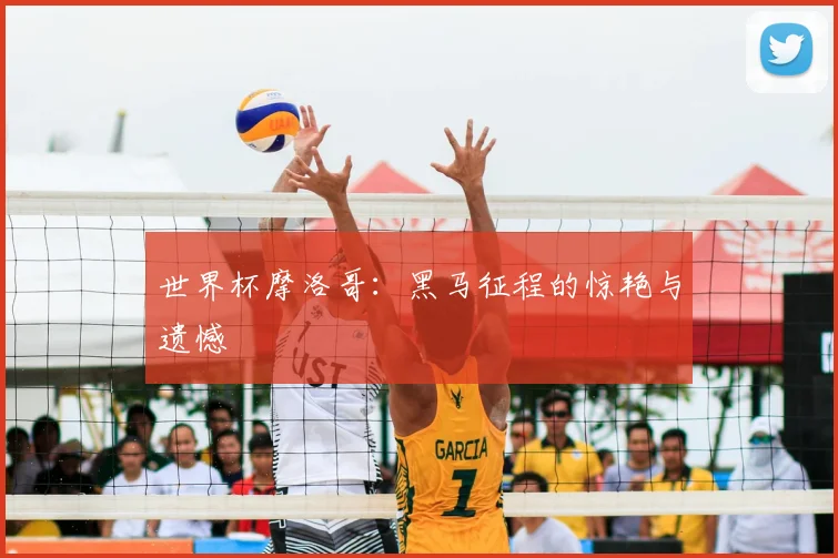 世界杯摩洛哥:黑马征程的惊艳与遗憾