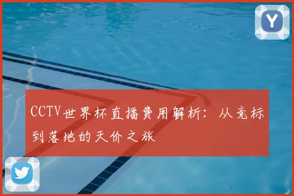 CCTV世界杯直播费用解析：从竞标到落地的天价之旅