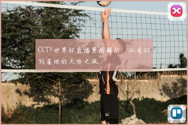 CCTV世界杯直播费用解析：从竞标到落地的天价之旅