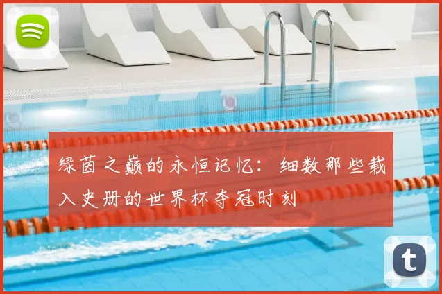 绿茵之巅的永恒记忆:细数那些载入史册的世界杯夺冠时刻
