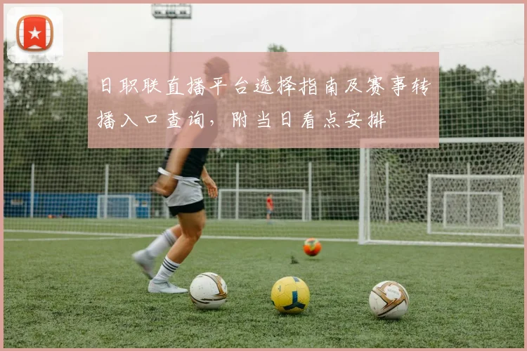 日职联直播平台选择指南及赛事转播入口查询，附当日看点安排