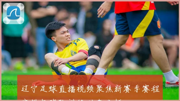 辽宁足球直播视频聚焦新赛季赛程安排与球队训练动态分析