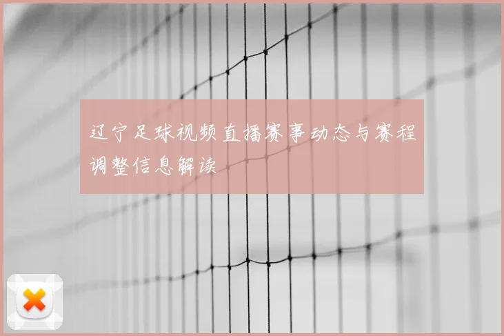 辽宁足球视频直播赛事动态与赛程调整信息解读