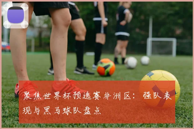 聚焦世界杯预选赛非洲区：强队表现与黑马球队盘点