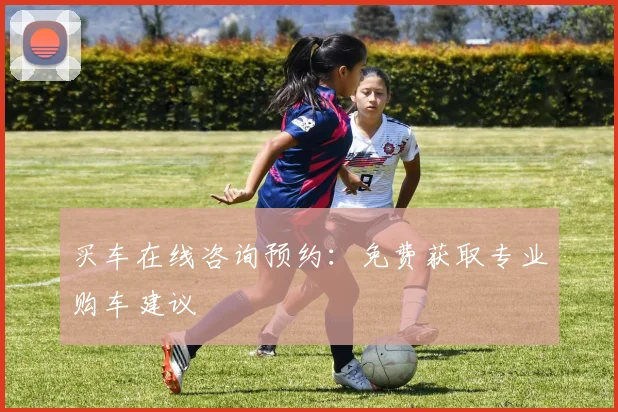 买车在线咨询预约：免费获取专业购车建议