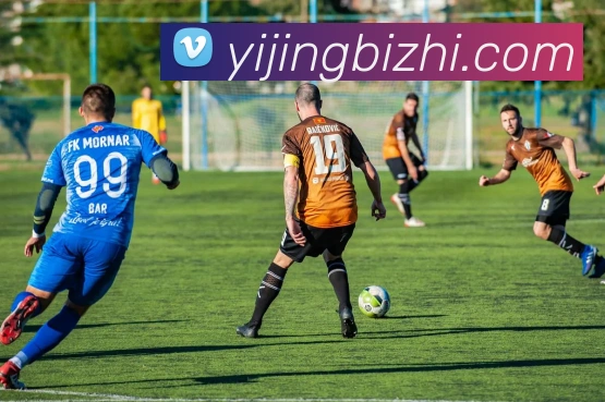 新半岛官网全站App